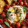 Hot Honey Tomato Burrata Dip